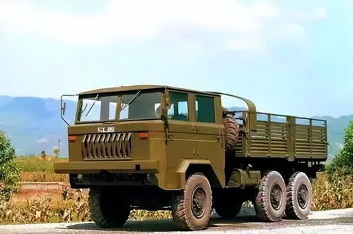 重慶重汽集團吃了德隆系的大虧,相當(dāng)悲劇