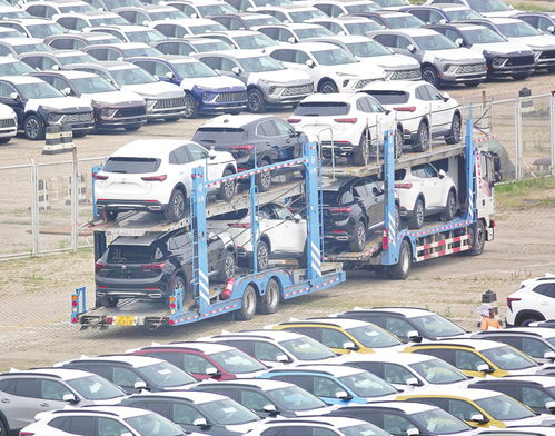 同比增6.1 上半年我國(guó)汽車銷售1404.7萬(wàn)輛